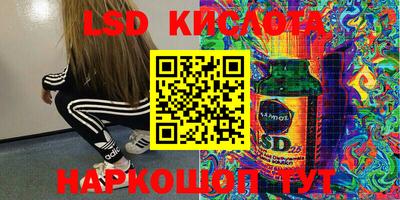 mdpv Новозыбков