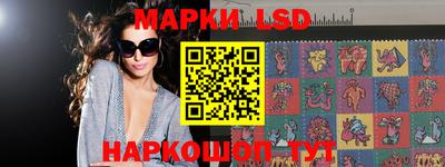 Альфа ПВП Новодвинск