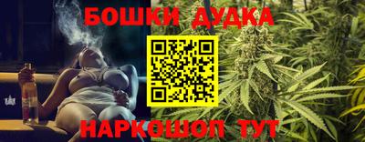 Альфа ПВП Новодвинск