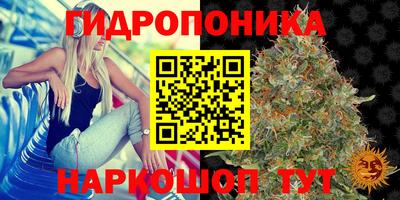mdpv Новозыбков