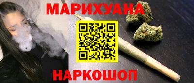 Альфа ПВП Новодвинск