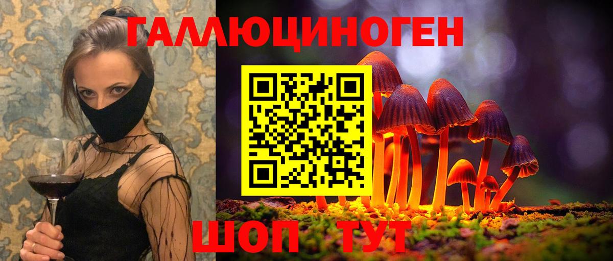 Псилоцибиновые грибы Cubensis Скопин