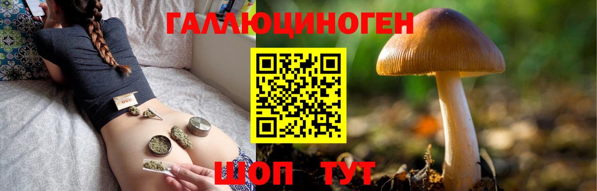 Псилоцибиновые грибы Magic Shrooms  Вход с VPN  Скопин  Галлюциногенные грибы Cubensis 